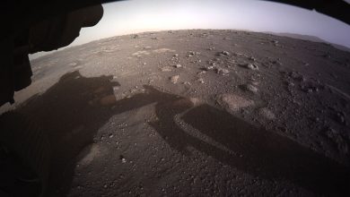 Фото - NASA доставит на Землю образцы марсианских пород с возможными следами живых организмов