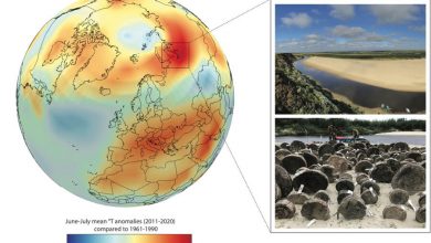 Фото - Российские ученые выяснили, что нынешнее потепление стало сильнейшим за 7000 лет