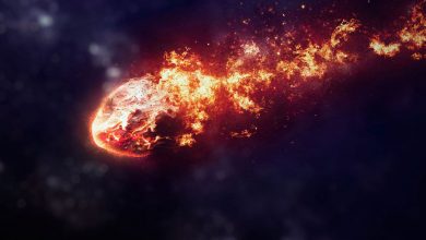 Фото - Ученые обнаружили кратер от метеорита, упавшего во время вымирания динозавров