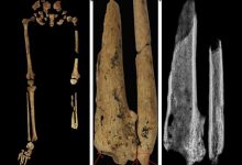 Фото - Археологи обнаружили одноногого древнего человека возрастом 30 тысяч лет