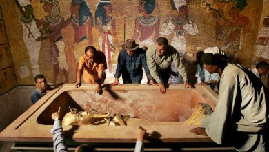 Фото - Археологи заподозрили, что мумия Нефертити лежит в тайной комнате гробницы Тутанхамона
