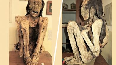 Фото - Медики обнаружили, что индейские мумии пали жертвами жестоких убийств
