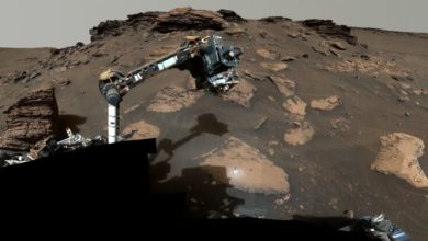 Фото - На Марсе найдена скала с «потенциальными признаками жизни»