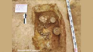Фото - На Урале обнаружили детское погребение бронзового века