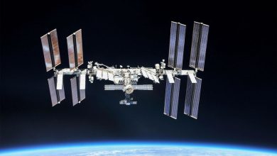 Фото - Российские космонавты установили платформу с адаптерами на модуле «Наука» МКС