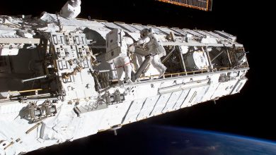 Фото - Российские космонавты выйдут в открытый космос 2 сентября