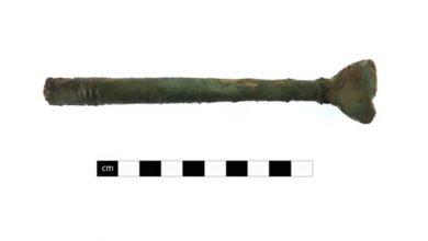 Фото - В Британии обнаружили мундштук от древнеримского музыкального инструмента