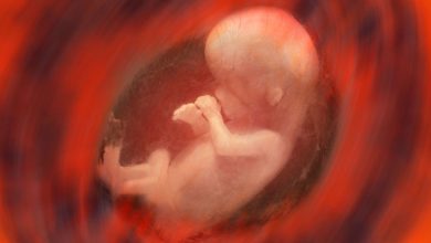 Фото - Врачи обнаружили, что замороженные эмбрионы на 74% повышают риск гипертонии у женщины