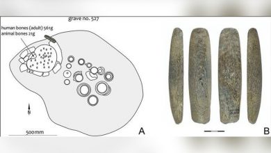 Фото - Археологи обнаружили людей железного века с устаревшими каменными орудиями