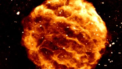 Фото - Астрономы обнаружили новую возможность предсказать вспышку сверхновой