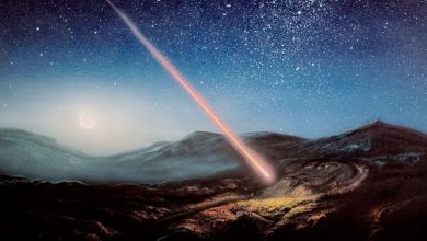 Фото - Физик Шувалов объяснил, почему человечество беззащитно перед астероидами размером с Тунгусский