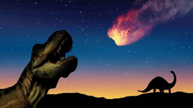 Фото - Геологи выяснили, что убивший динозавров астероид высвободил энергию 10 млрд атомных бомб