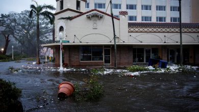 Фото - Медики предупредили американцев о распространении плотоядных бактерий из-за урагана «Иэн»