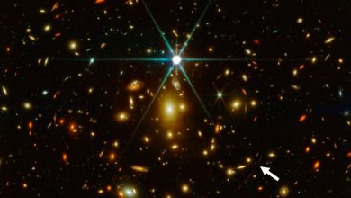 Фото - Российские астрономы зафиксировали космическую частицу с «невозможно» высокой энергией