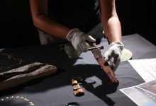 Фото - В Краснодарском крае археологи обнаружили персидский меч и могилу жрицы Афродиты