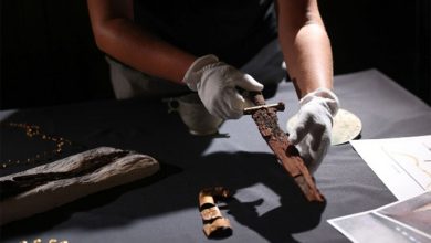 Фото - В Краснодарском крае археологи обнаружили персидский меч и могилу жрицы Афродиты