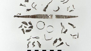 Фото - В Норвегии обнаружили крупный клад серебра викингов