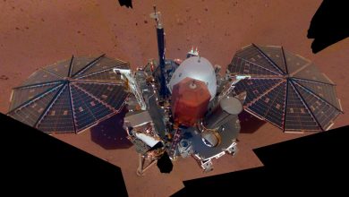 Фото - Зонд InSight указал на возможную вулканическую активность в недрах Марса