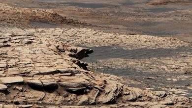 Фото - Астрономы записали уникальные сейсмические волны от марсотрясения