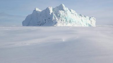 Фото - Британские ученые предрекли исчезновение льда в Арктике через 10 лет