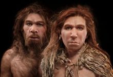 Фото - Как бы выглядел современный мир, населенный неандертальцами