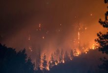 Фото - Климатологи выяснили, что Европа «сгорает» в два раза быстрее остального мира