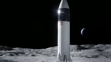 Фото - NASA выбрало ракету Starship компании SpaceX для второй высадки людей на Луну