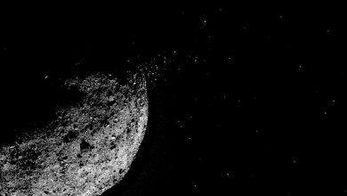 Фото - Российский астроном открыл сближающийся с Землей астероид