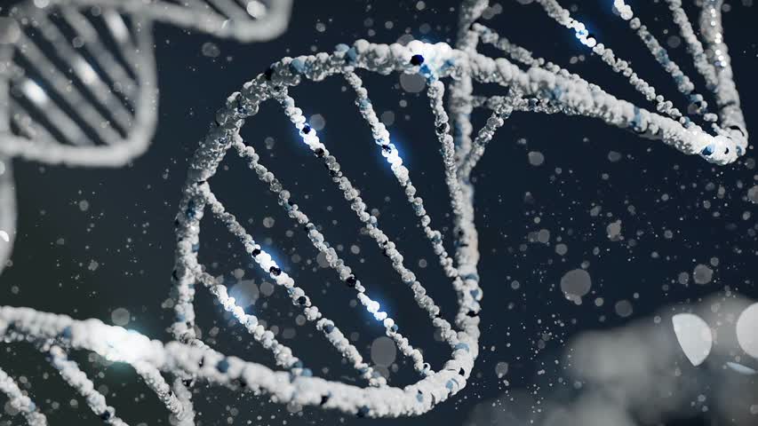 Фото - Созданы ДНК-нанотранспортеры лекарств против рака