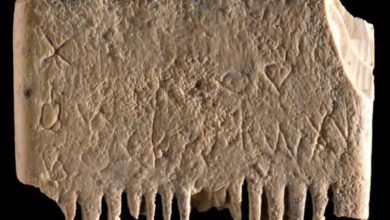 Фото - Ученые нашли и расшифровали самую древнюю надпись в мире