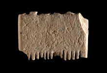 Фото - Ученые обнаружили гребень с первой надписью на ханаанском языке с просьбой искоренить вшей