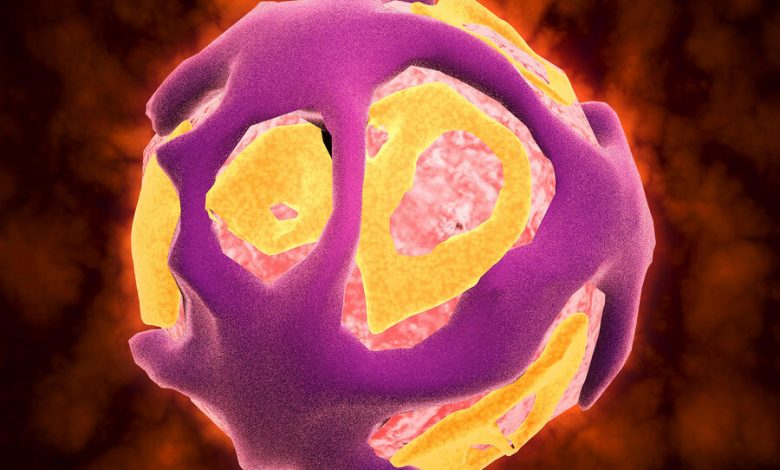 Фото - Вирусологи реанимировали семь древних вирусов из сибирской вечной мерзлоты